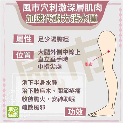 風是穴|醫砭 » 中華針灸 » 風市